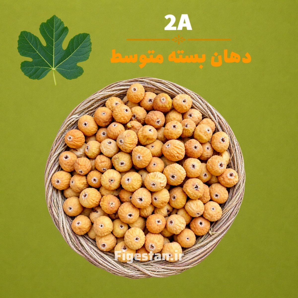 دهان بسته متوسط-رنگ قهوه ای روشن(2A)
