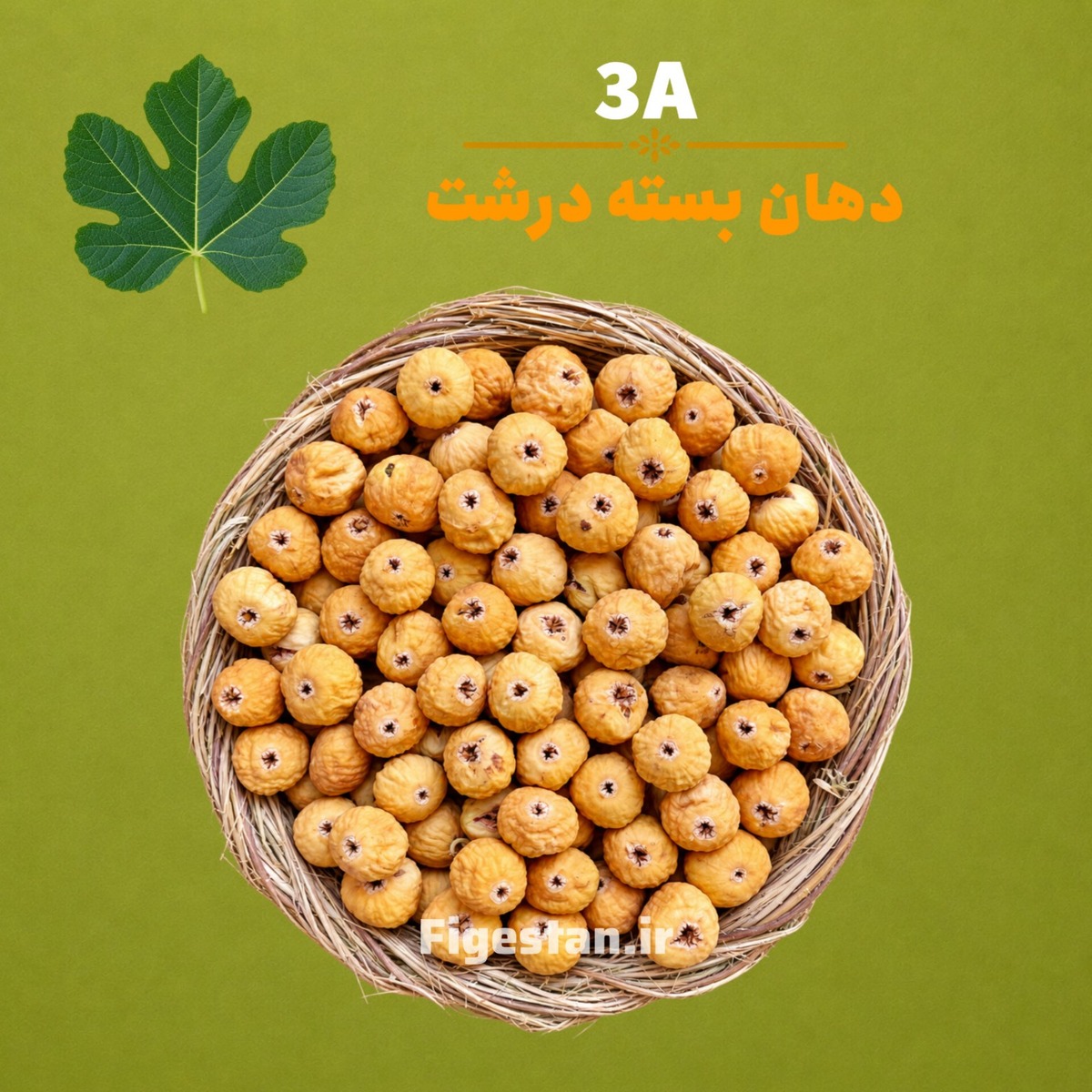 دهان بسته درشت-رنگ قهوه ای روشن(3A)