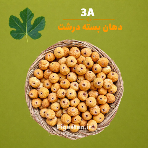 دهان بسته درشت-رنگ قهوه ای روشن(3A)