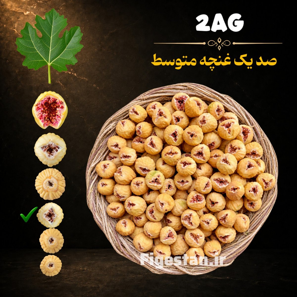 صدیک غنچه متوسط-کمی خندان-رنگ سفید و زرد طلایی(2AG)