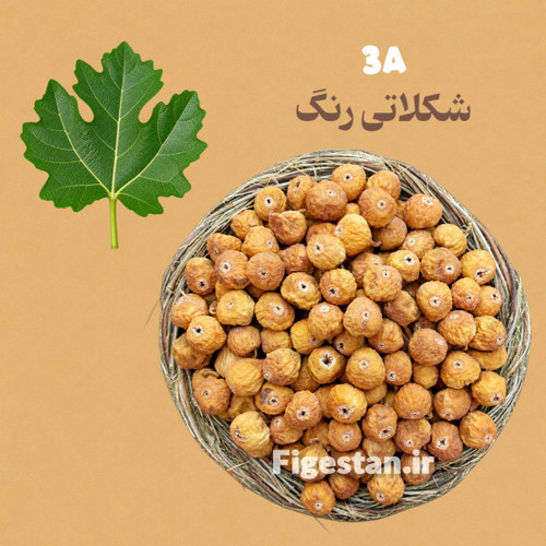 دهان بسته درشت-رنگ قهوه ای تیره(-3A)