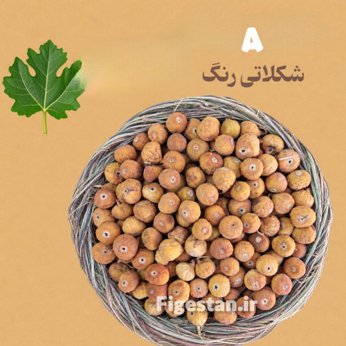 دهان بسته ریز(نقلی)-رنگ قهوه ای تیره(A-)